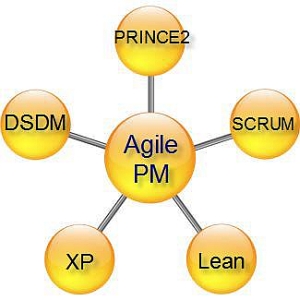 agile PM