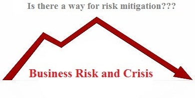 business risk mitigation