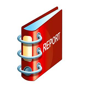 Top 4 types of project report