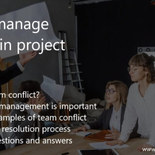 Team Conflict in Project Management: Definition, Classification, Resolution Process