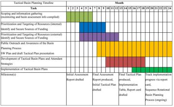 Implementation Timeline Chart