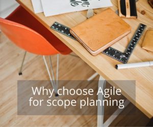 Agile project scope in software development