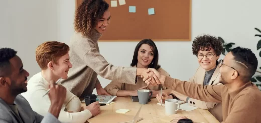 What Project Managers Can Learn from Public Service Leadership?