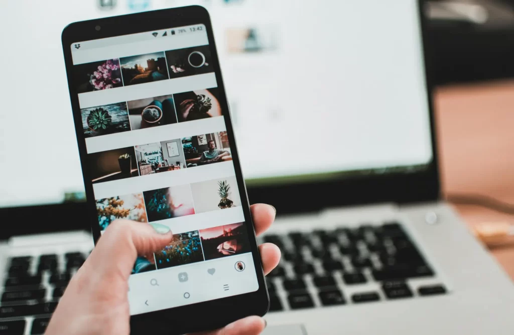 Top 8 Best Arborist Apps in 2025