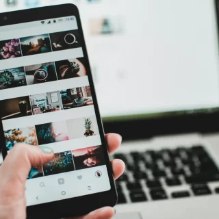 Top 8 Best Arborist Apps in 2025