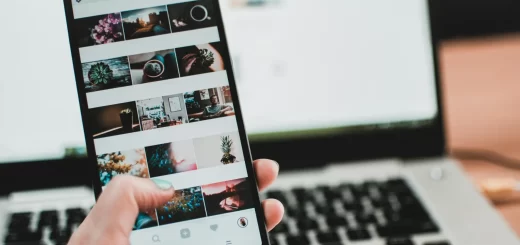 Top 8 Best Arborist Apps in 2025