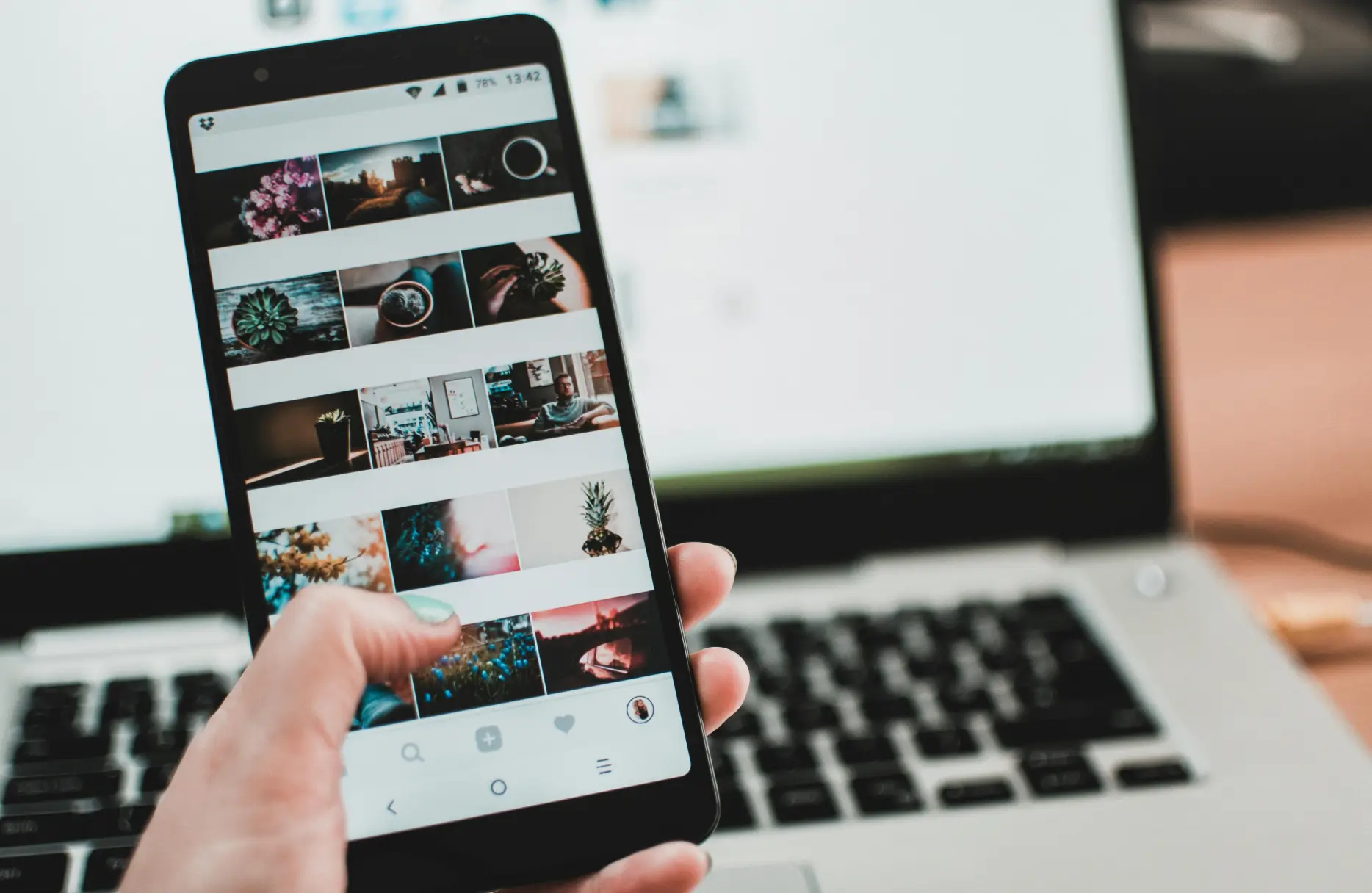 Top 8 Best Arborist Apps in 2025