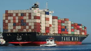 The Impact of Bulk Shipping on Overall Business Expenses